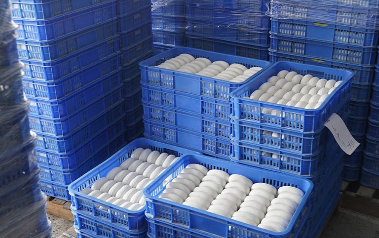 Packaging and branding support1